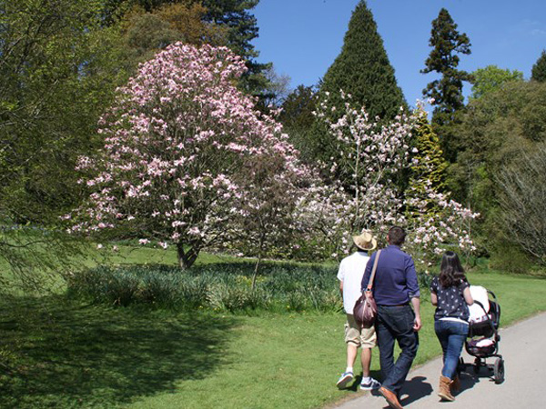 Mother's day at Batsford Arboretum