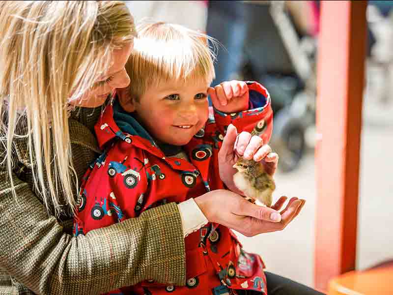 Mother's Day at Adam Henson's Cotswold Farm Park