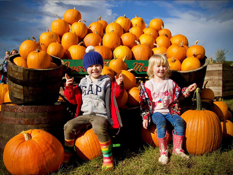 Halloween at Over Farm