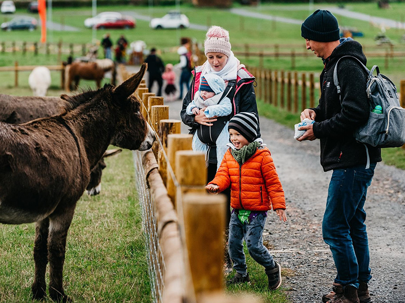 Christmas at Over Farm Countryside Adventure