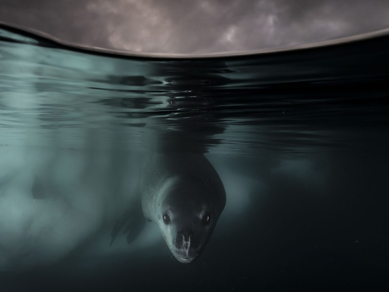 Wildlife Photographer of the Year Exhibition