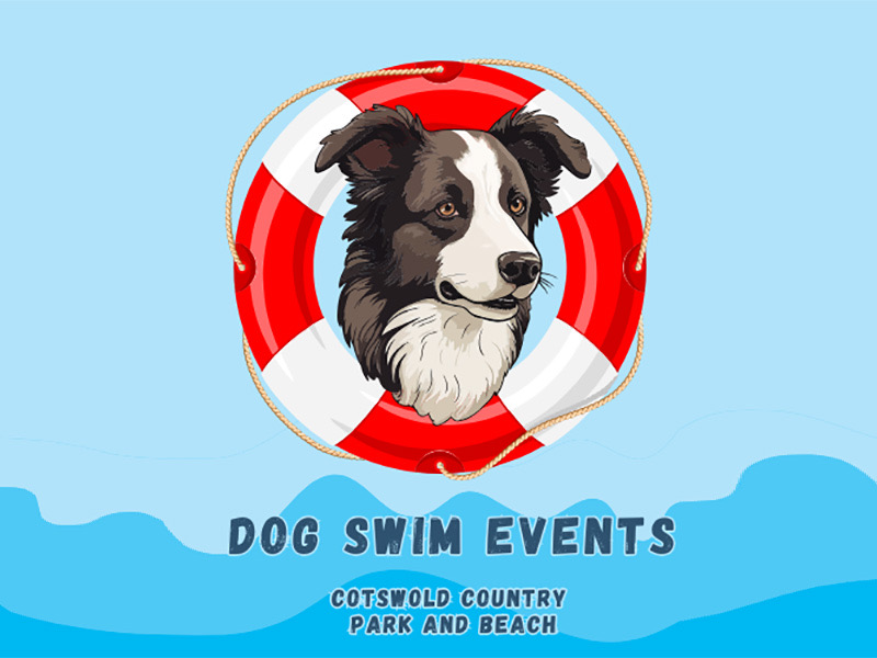 Dog Swim at Cotswold Country Park & Beach