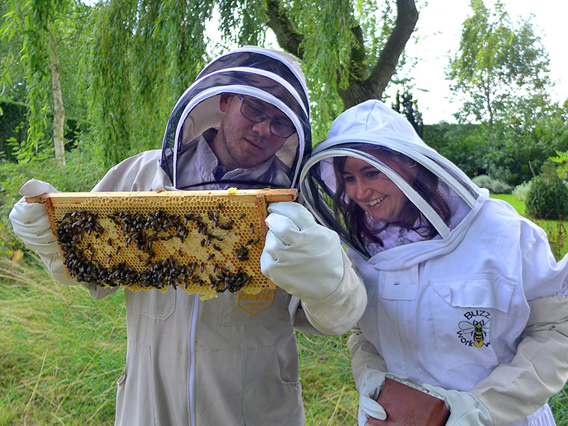 Beekeeping for Beginners at Westonbirt Arboretum