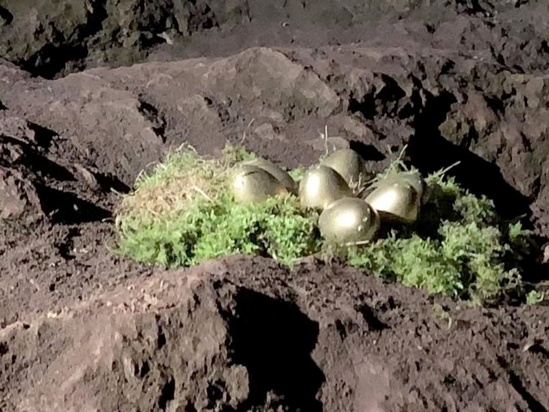 Easter in the Forest of Dean