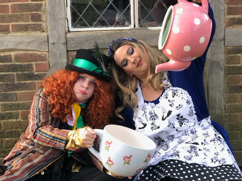 Mad Hatters Tea Parties at Prinknash  Bird & Deer Park