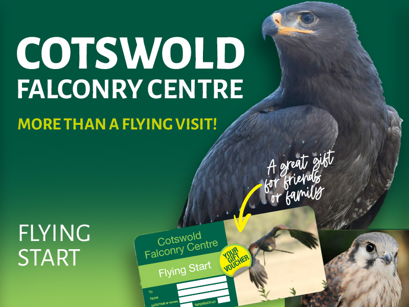 Cotswold Falconry Centre Gift Vouchers