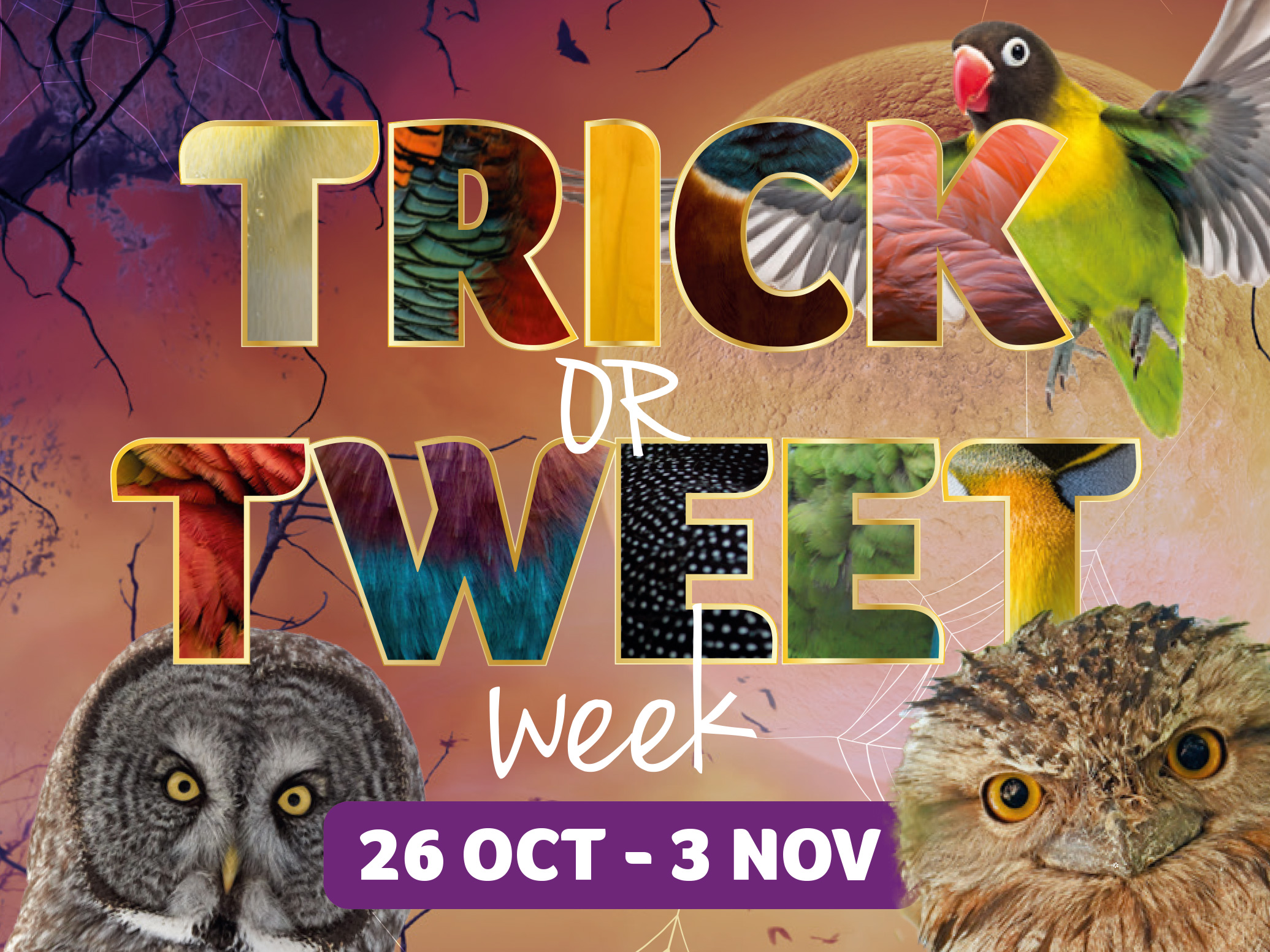 Trick or Treet Week at Birdland