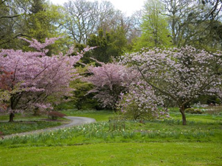 Events at Batsford Arboretum