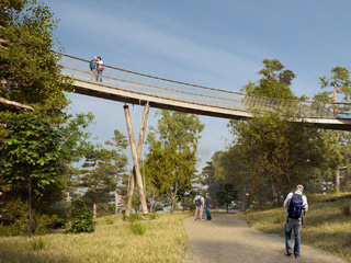 £1.9m raised for new view at Westonbirt Arboretum