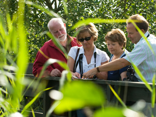 WWT Slimbridge Wetland Centre