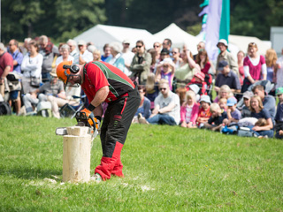 Treefest at Westonbirt