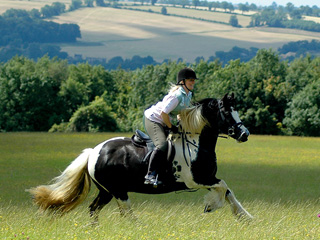 Fun Rides return to Cotswold Farm Park