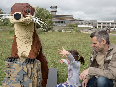 Latest news from WWT Slimbridge’s LEGO ®  Brick Trail