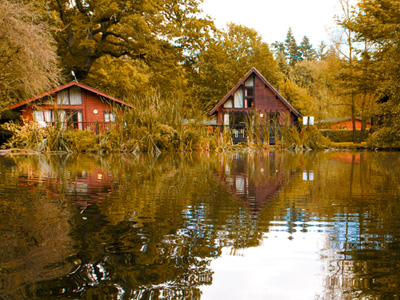 Get ready for Autumn Breaks at Whitemead Forest Park