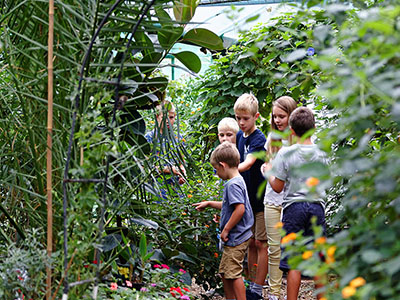 School holiday activities at Berkeley Castle