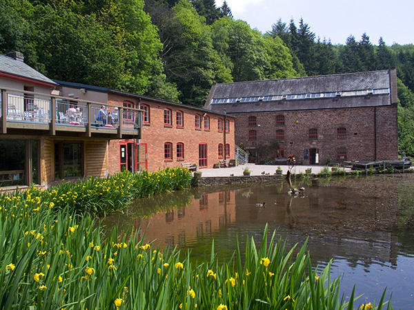 Free  parking in the Forest of Dean