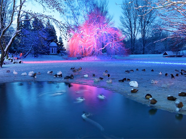 Prinknash Bird & Deer Park is celebrating its 10th Winter Wonderland