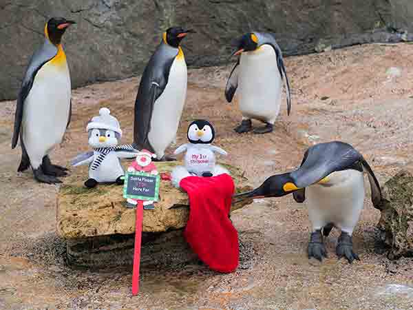 Christmas at Birdland