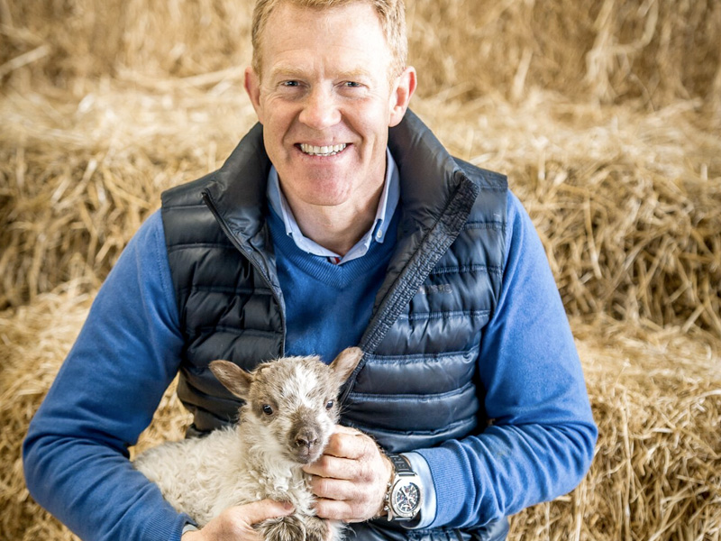 Live Sheep Scanning at Cotswold Farm Park