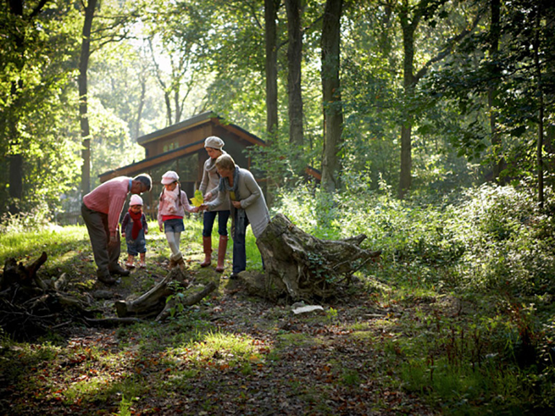 10% OFF FOREST HOLIDAY CABINS