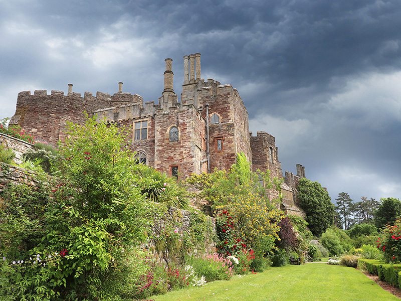 Berkeley Castle & Butterfly House