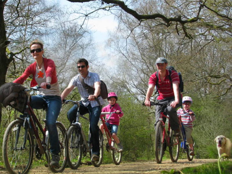 SPOTLIGHT: Pedalabikeaway in the Forest of Dean