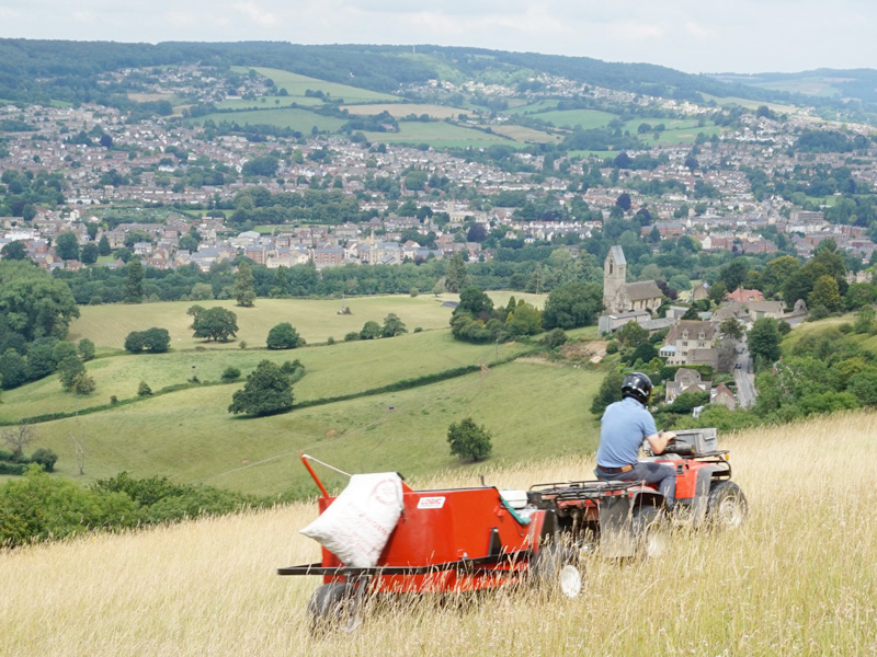 NT News: Wildflower seed sowing in the Stroud Valleys