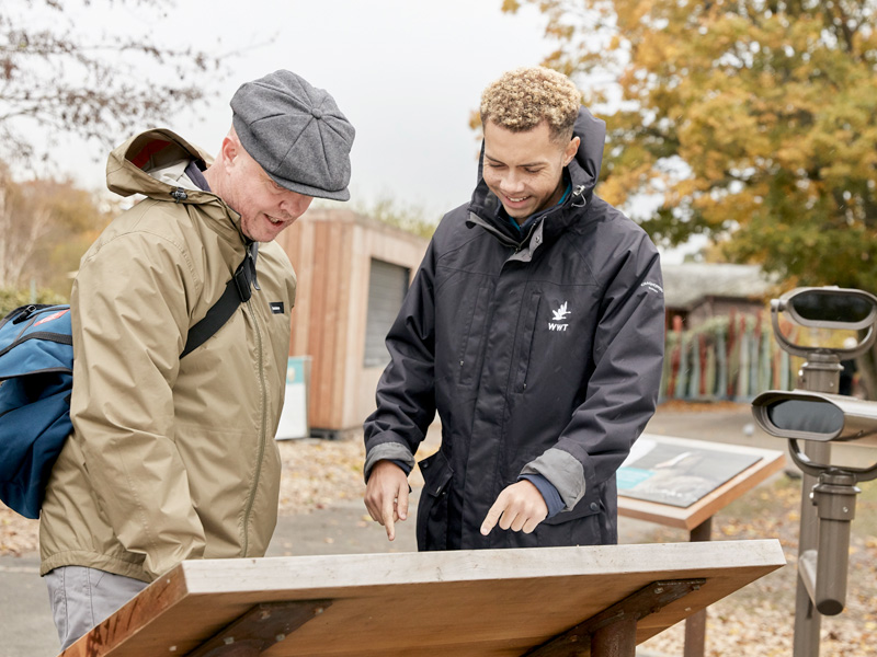 Volunteer to make a world of difference at Slimbridge Wetland Centre