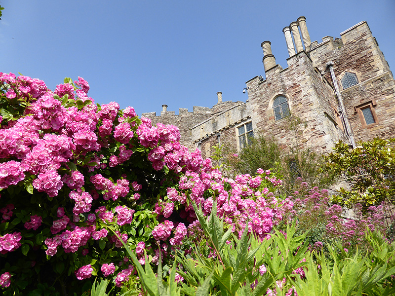 Latest news from Berkeley Castle