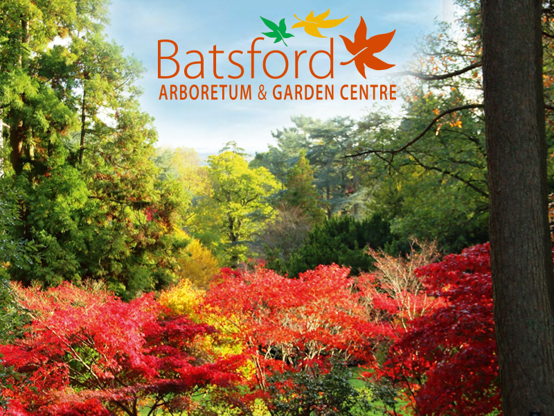 Autumn at Batsford Arboretum