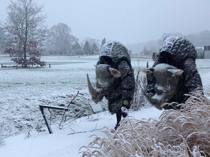 Rhinos at Cotswold Wildlife Park