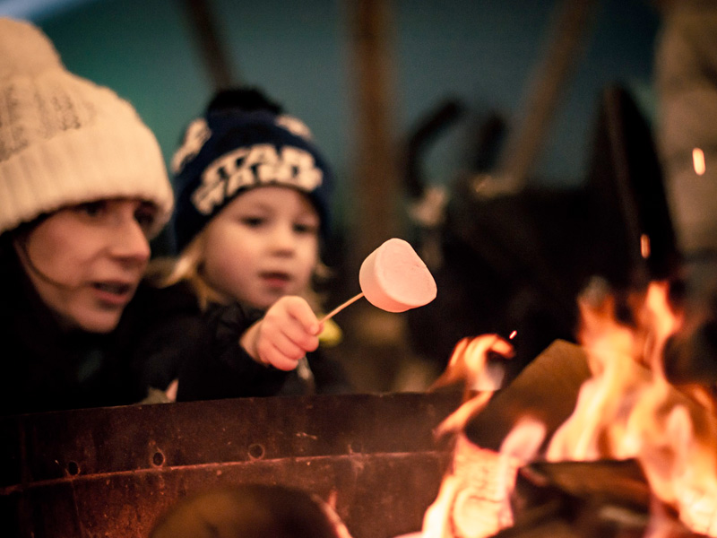 Cotswold Farm Park Christmas