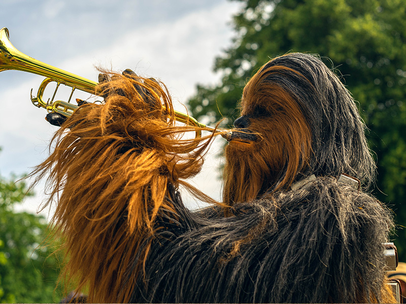 Fantasy Forest Festival at Sudeley