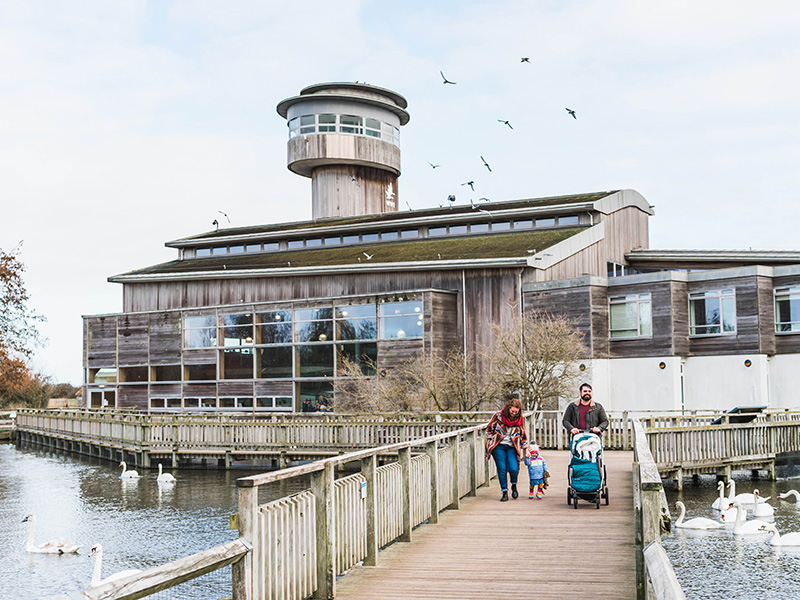 WWT Slimbridge wetlands centre