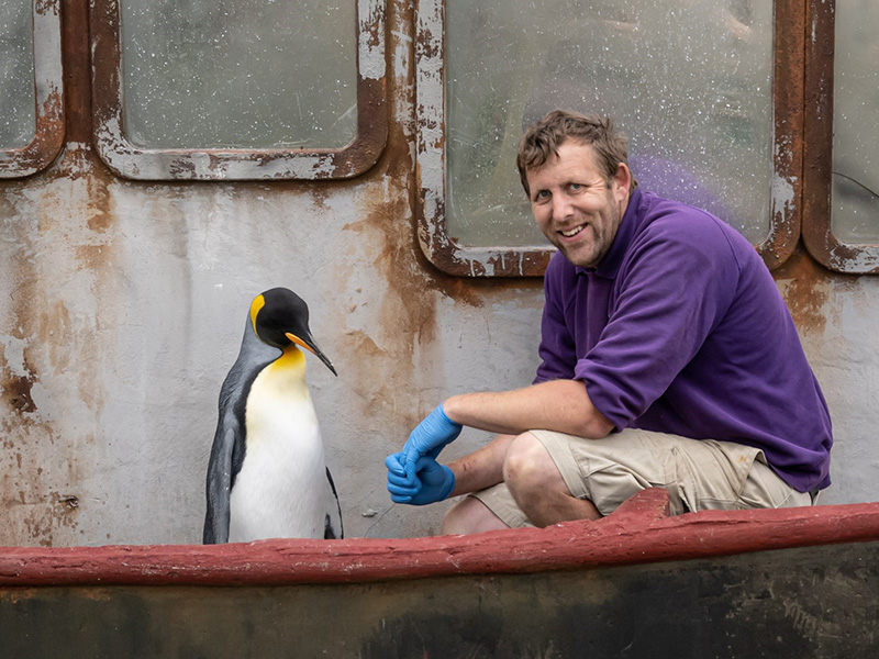 Birdland Spike the King penguin