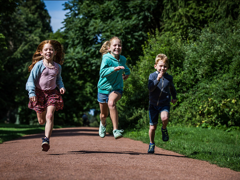 Head to Westonbirt for some half term fun!