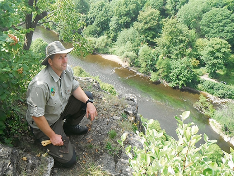 Forest Bushcraft in the heart of the Forest of Dean