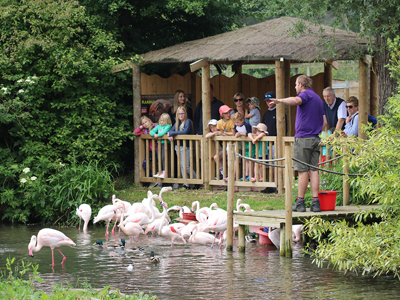 Birdland Cotswolds