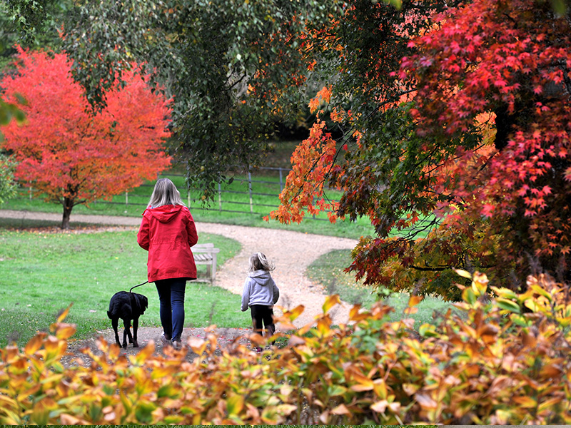 Autumn at Batsford Arboretum