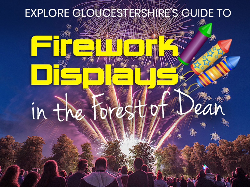 Fireworks in the Forest of Dean