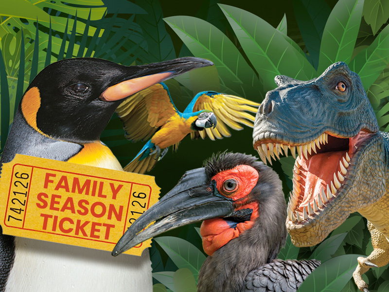 WIN a Family Season Ticket to Birdland