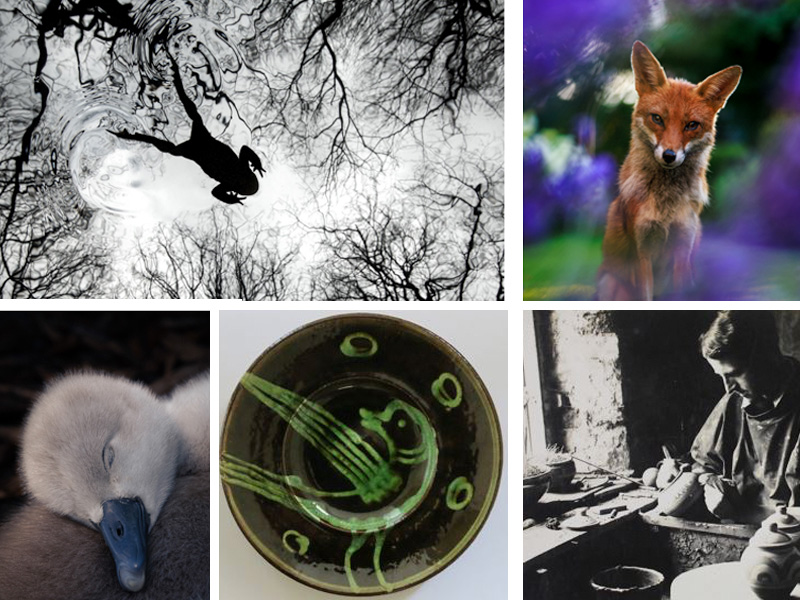 Summer exhibition Gloucester 2026