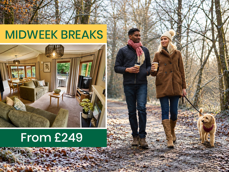Winter breaks at Whitemead Forest of Dean